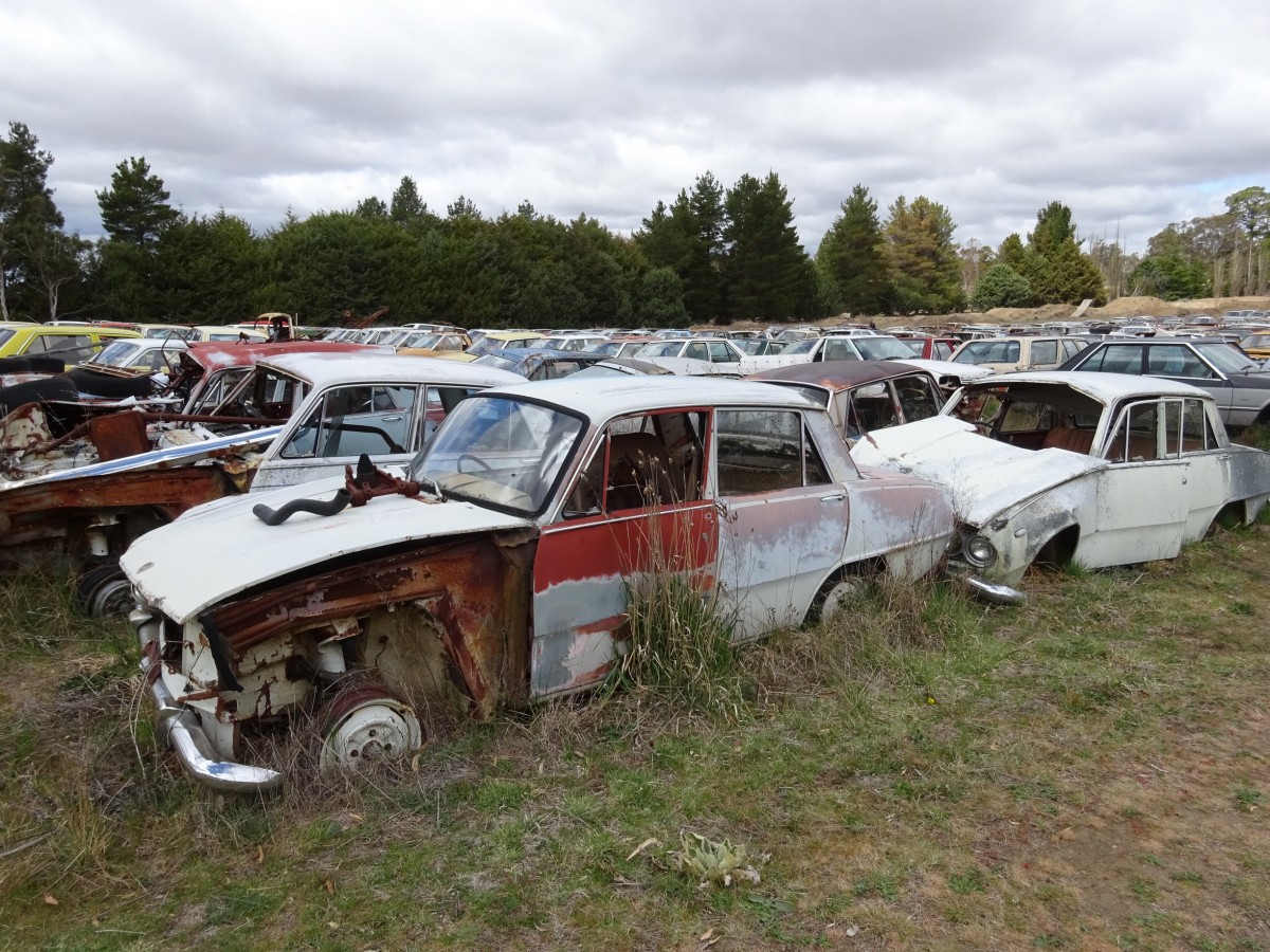 2017 Mudgee Nationals     (240).jpg