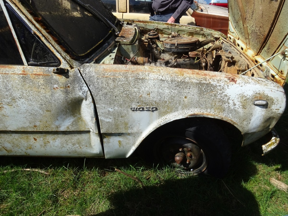 2017 Mudgee Nationals     (853).jpg